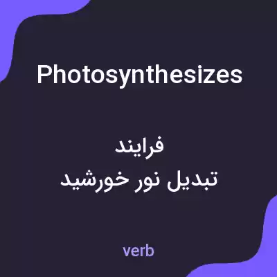 معنی photosynthesizes به فارسی معنی photosynthesizes به فارسی