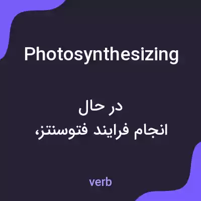 معنی photosynthesizing به فارسی معنی photosynthesizing به فارسی