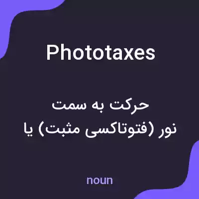 معنی phototaxes به فارسی معنی phototaxes به فارسی