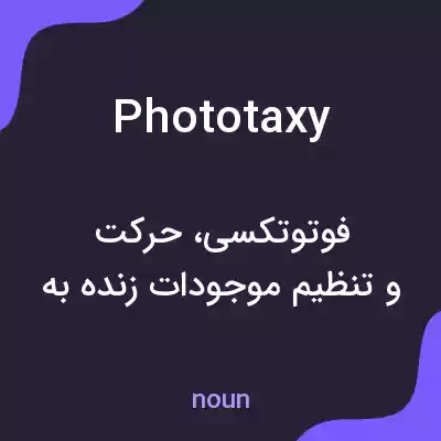 معنی phototaxy به فارسی معنی phototaxy به فارسی