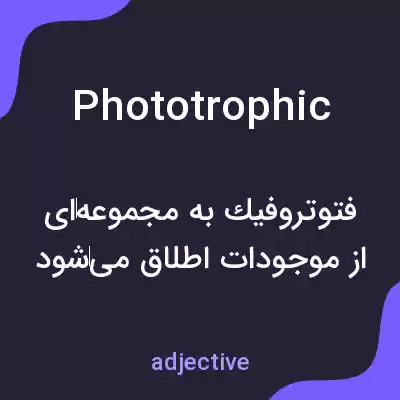 معنی phototrophic به فارسی معنی phototrophic به فارسی