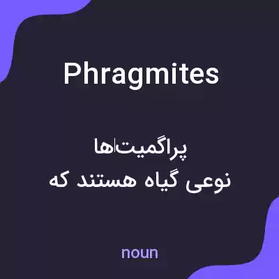 معنی phragmites به فارسی معنی phragmites به فارسی