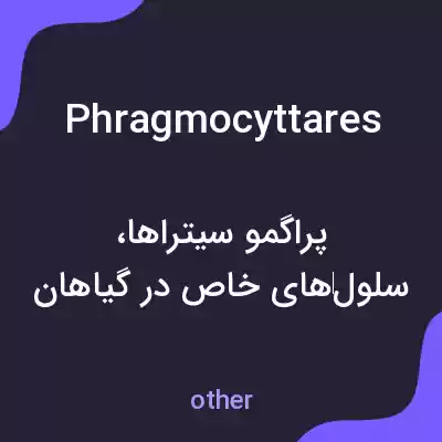 معنی phragmocyttares به فارسی معنی phragmocyttares به فارسی