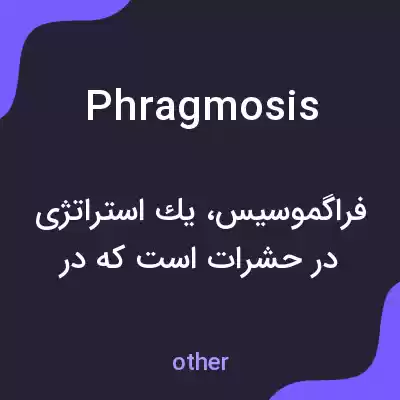 معنی phragmosis به فارسی معنی phragmosis به فارسی