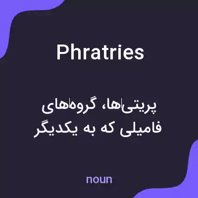 معنی phratries به فارسی معنی phratries به فارسی