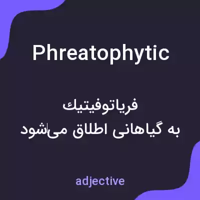 معنی phreatophytic به فارسی معنی phreatophytic به فارسی