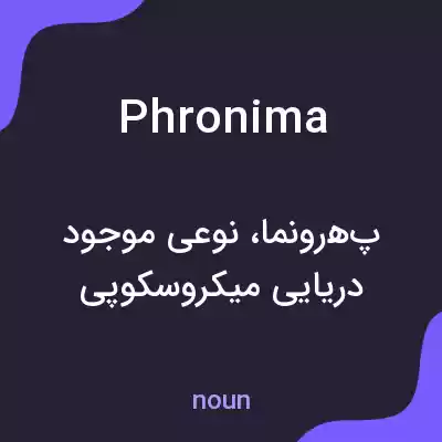معنی phronima به فارسی معنی phronima به فارسی