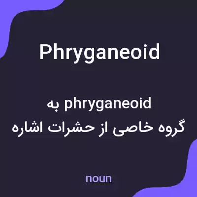 معنی phryganeoid به فارسی معنی phryganeoid به فارسی