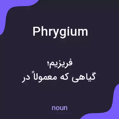 معنی phrygium به فارسی معنی phrygium به فارسی
