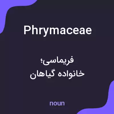 معنی phrymaceae به فارسی معنی phrymaceae به فارسی