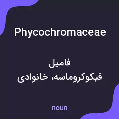 معنی phycochromaceae به فارسی معنی phycochromaceae به فارسی