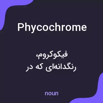 معنی phycochrome به فارسی معنی phycochrome به فارسی