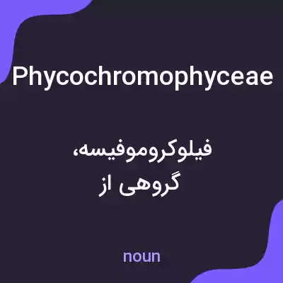 معنی phycochromophyceae به فارسی معنی phycochromophyceae به فارسی