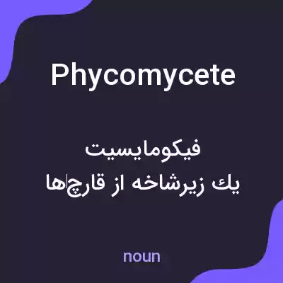 معنی phycomycete به فارسی معنی phycomycete به فارسی
