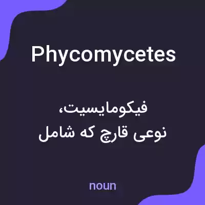 معنی phycomycetes به فارسی معنی phycomycetes به فارسی