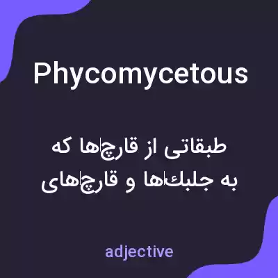 معنی phycomycetous به فارسی معنی phycomycetous به فارسی