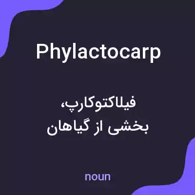 معنی phylactocarp به فارسی معنی phylactocarp به فارسی