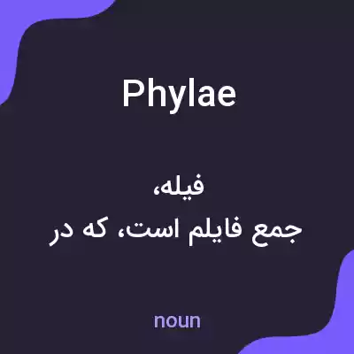 معنی phylae به فارسی معنی phylae به فارسی