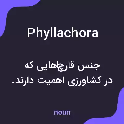معنی phyllachora به فارسی معنی phyllachora به فارسی