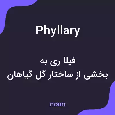 معنی phyllary به فارسی معنی phyllary به فارسی