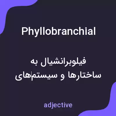 معنی phyllobranchial به فارسی معنی phyllobranchial به فارسی