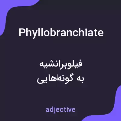 معنی phyllobranchiate به فارسی معنی phyllobranchiate به فارسی