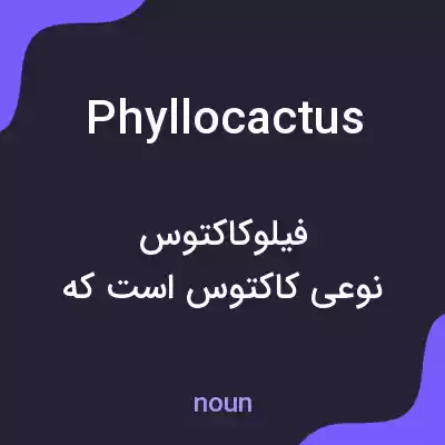 معنی phyllocactus به فارسی معنی phyllocactus به فارسی