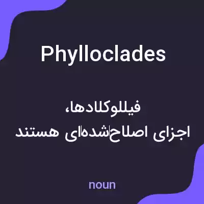 معنی phylloclades به فارسی معنی phylloclades به فارسی