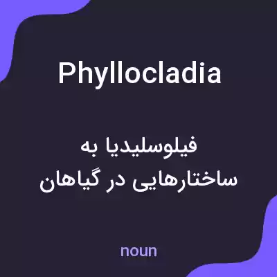 معنی phyllocladia به فارسی معنی phyllocladia به فارسی