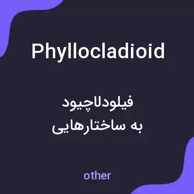معنی phyllocladioid به فارسی معنی phyllocladioid به فارسی