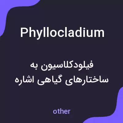 معنی phyllocladium به فارسی معنی phyllocladium به فارسی