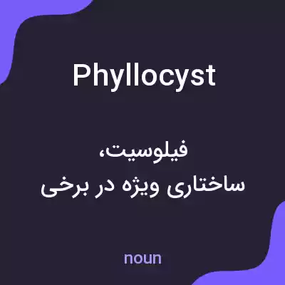 معنی phyllocyst به فارسی معنی phyllocyst به فارسی