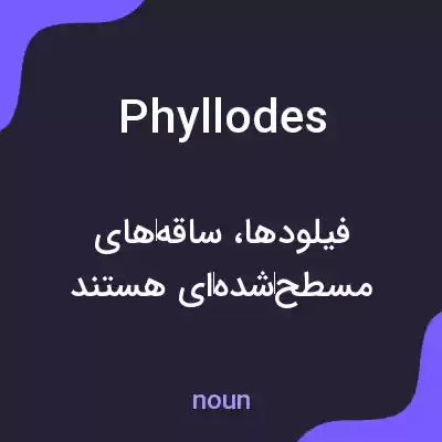 معنی phyllodes به فارسی معنی phyllodes به فارسی