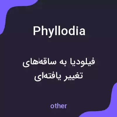 معنی phyllodia به فارسی معنی phyllodia به فارسی
