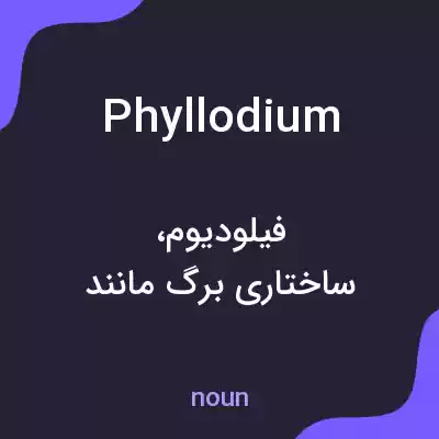 معنی phyllodium به فارسی معنی phyllodium به فارسی