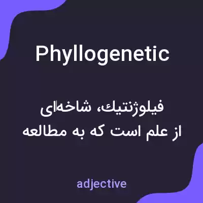 معنی phyllogenetic به فارسی
