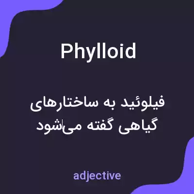 معنی phylloid به فارسی