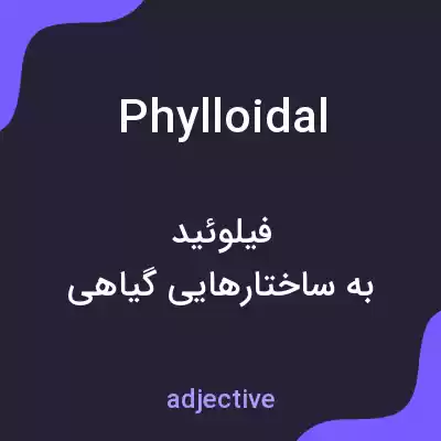 معنی phylloidal به فارسی