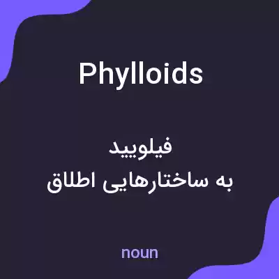 معنی phylloids به فارسی