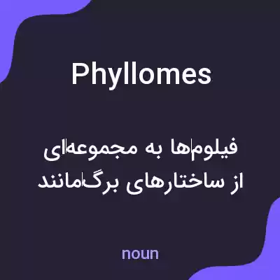معنی phyllomes به فارسی معنی phyllomes به فارسی