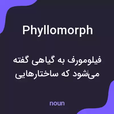 معنی phyllomorph به فارسی