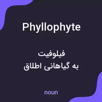 معنی phyllophyte به فارسی معنی phyllophyte به فارسی