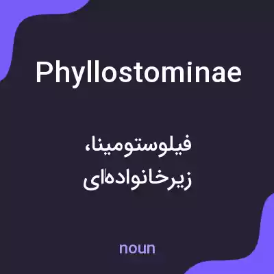 معنی phyllostominae به فارسی معنی phyllostominae به فارسی