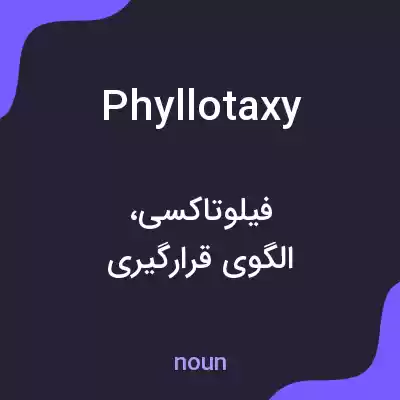 معنی phyllotaxy به فارسی معنی phyllotaxy به فارسی