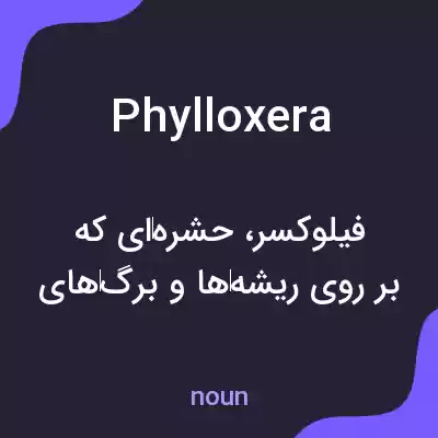 معنی phylloxera به فارسی