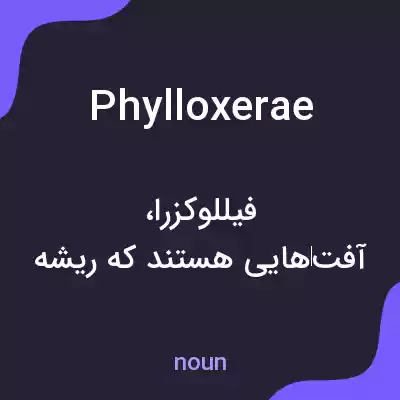 معنی phylloxerae به فارسی معنی phylloxerae به فارسی