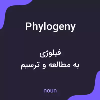 معنی phylogeny به فارسی