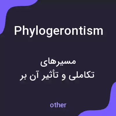 معنی phylogerontism به فارسی