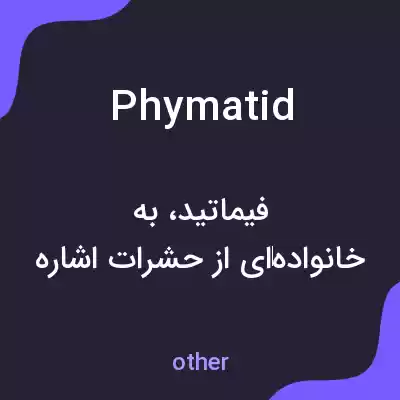 معنی phymatid به فارسی معنی phymatid به فارسی