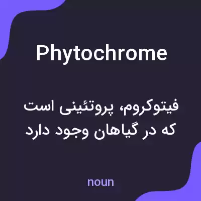 معنی phytochrome به فارسی معنی phytochrome به فارسی